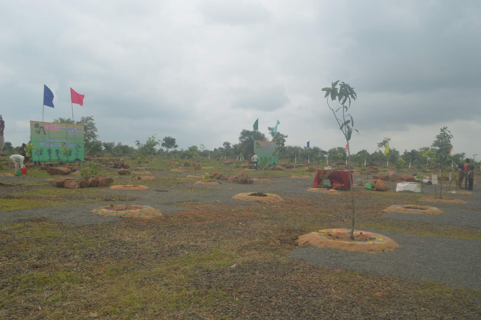 Dampatya Van Mahotsave Photo